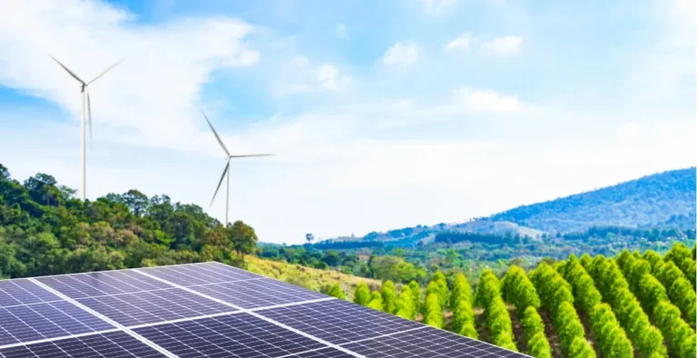 Blue Light Energy Impulsa el Desarrollo Energético en la Región de Los Ríos con Tres Nuevos Proyectos Solares