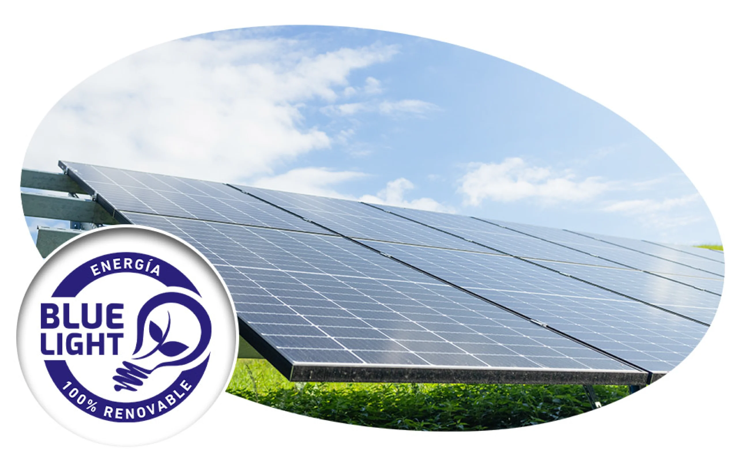 planta solar con monitoreo de su consumos con blue light energy