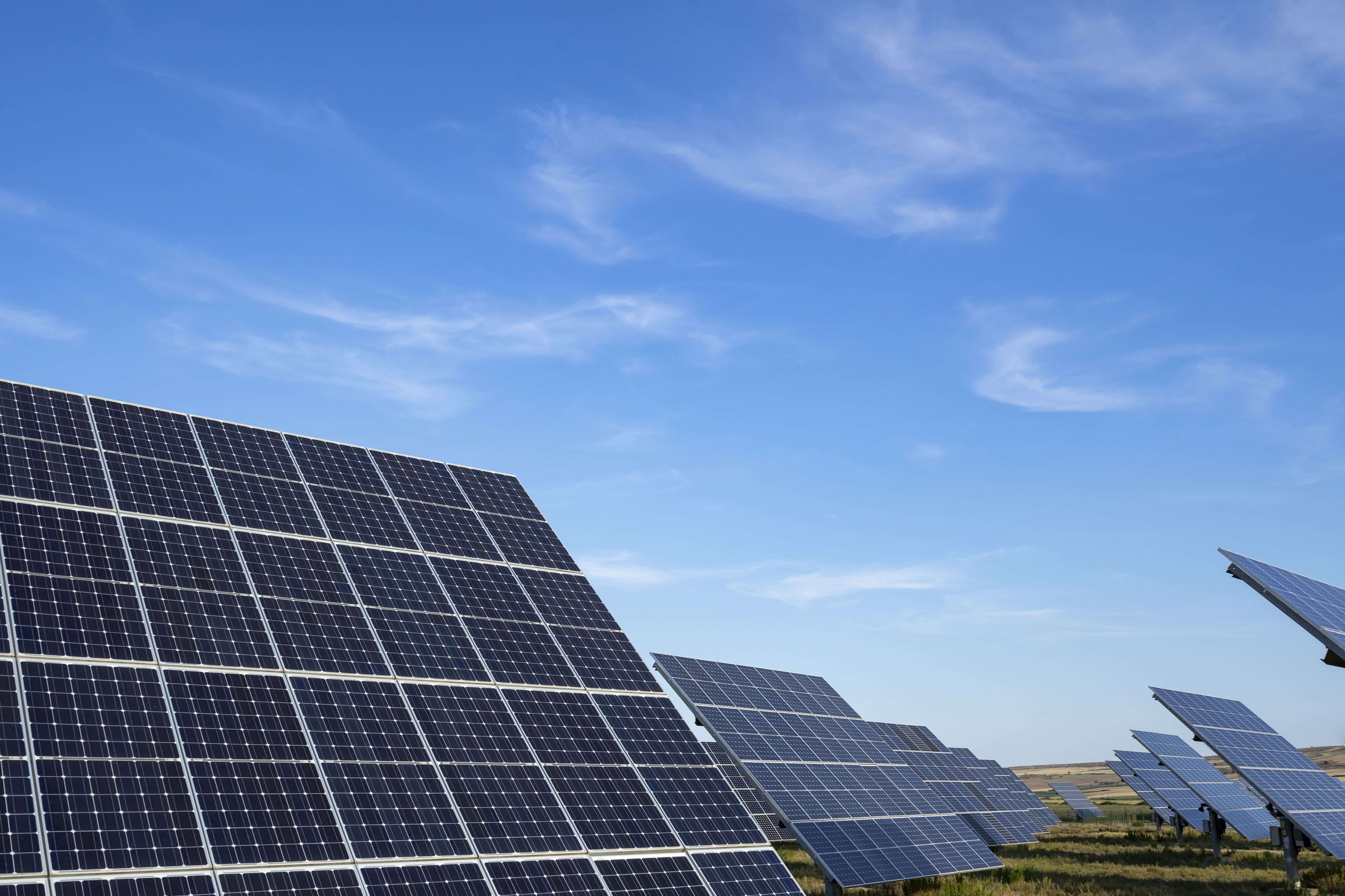 Campo de paneles solares
