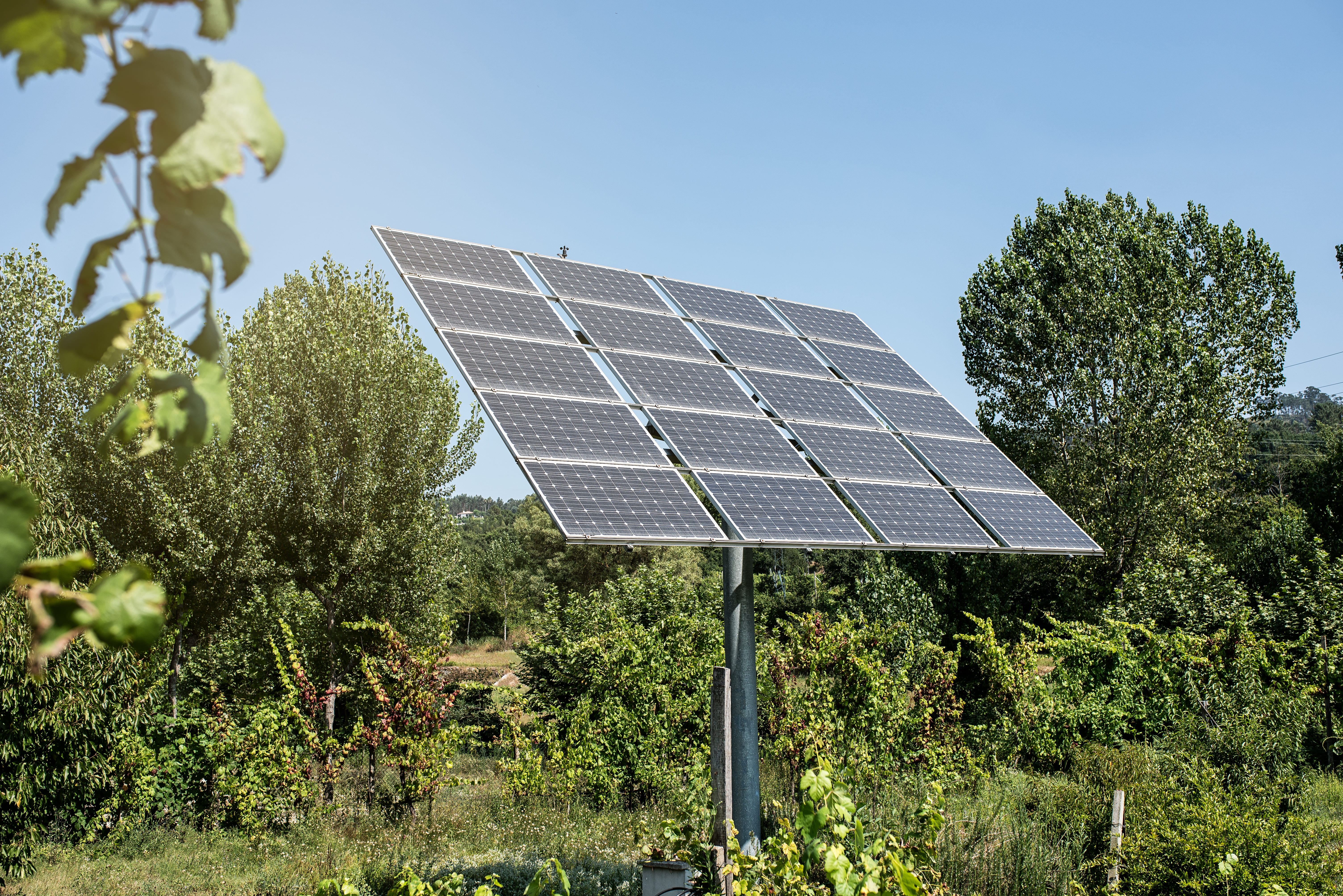 Panel solar en terreno